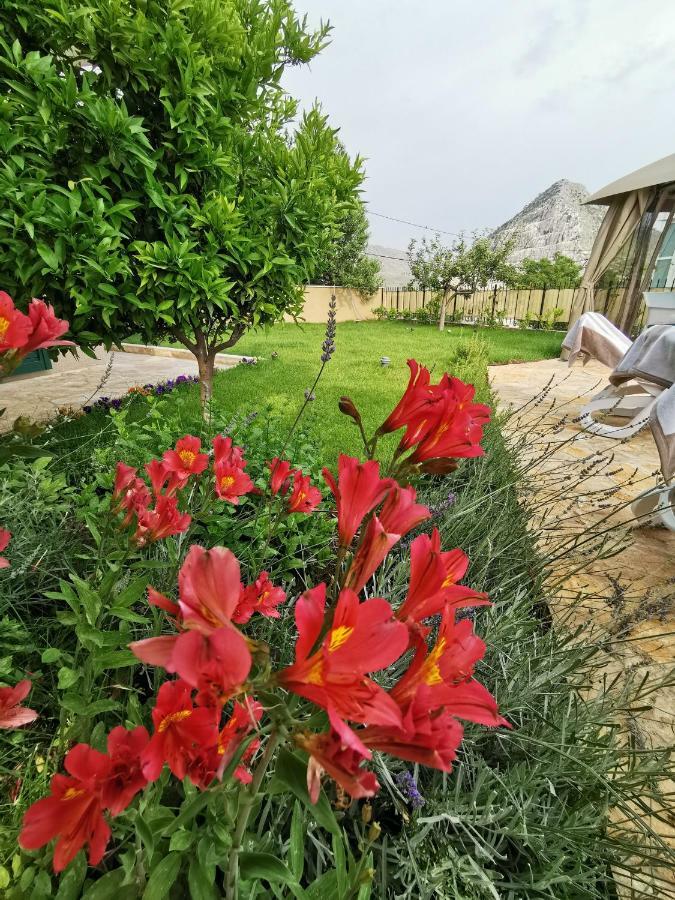 Villa Mater - Luxuriously Equipped Villa With A 15M Long Swimming Pool Žrnovnica Exteriör bild